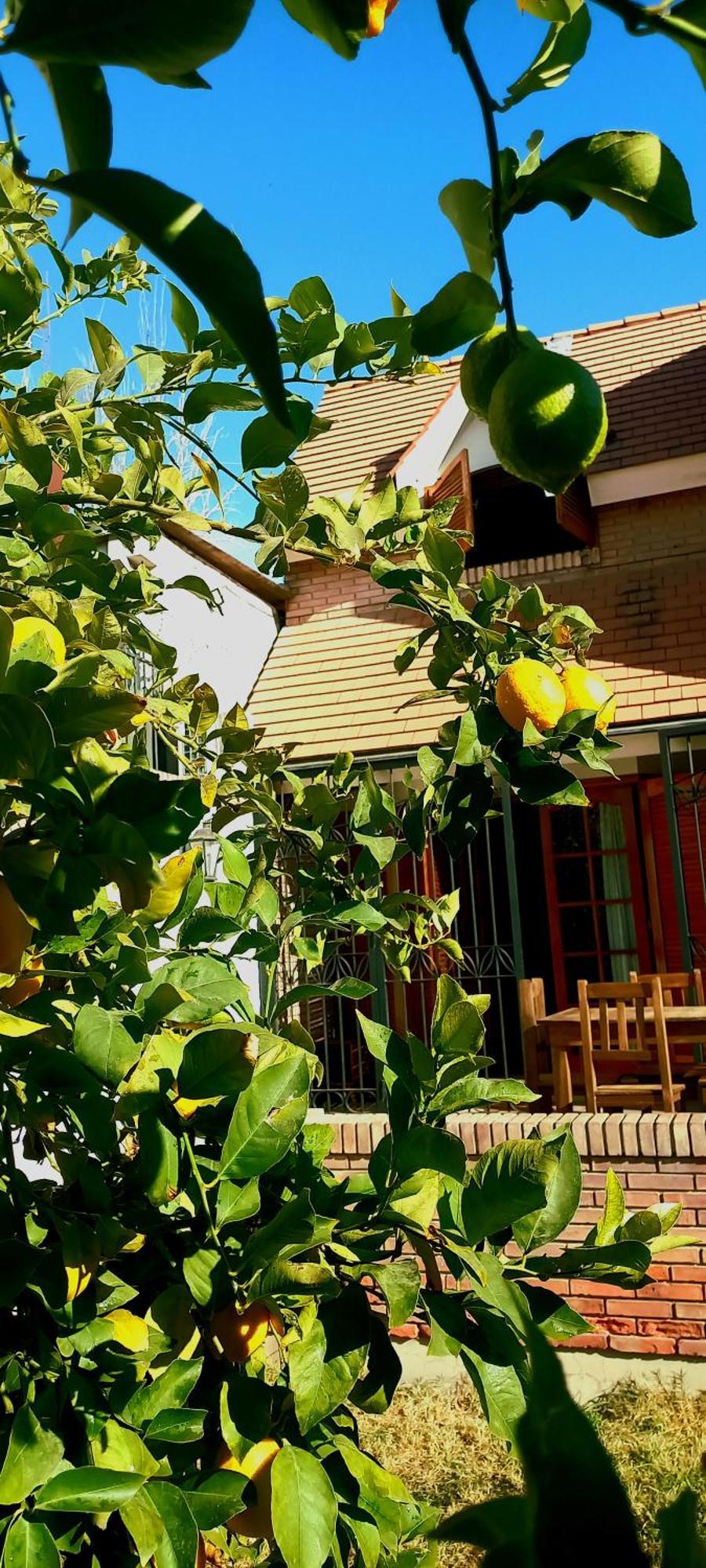 Bed and Breakfast Casa Bravo Mendoza Exteriér fotografie